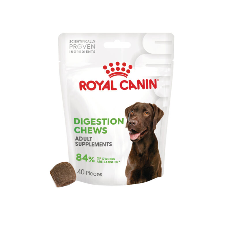 Royal Canin Digestion Chews Suplemento Nutricional para perros con sensibilidad thumbnail