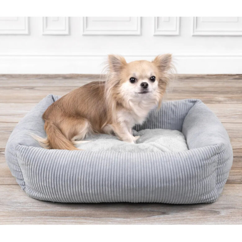 Flamingo Colette Rectángulo Azul cama cuna para perros thumbnail