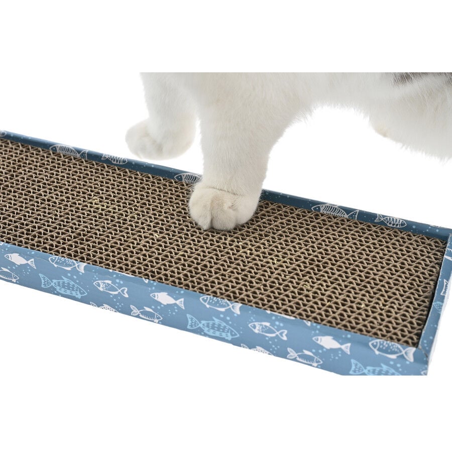 Leeby Fitz tabla rascador de cartón azul para gatos thumbnail