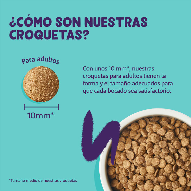Edgard & Cooper Adult Salmón pienso para gatos, , large image number null