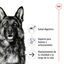 15 kg Royal Canin Maxi Ageing 8+ pienso para perros, , large indicador imagen numero 5