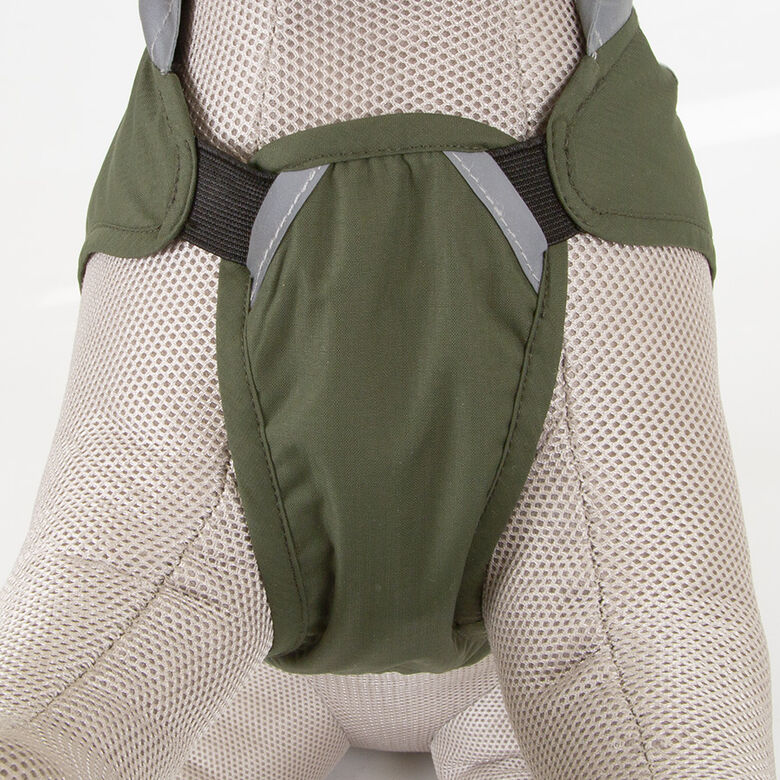 Outech Dakar Impermeable verde para perros thumbnail