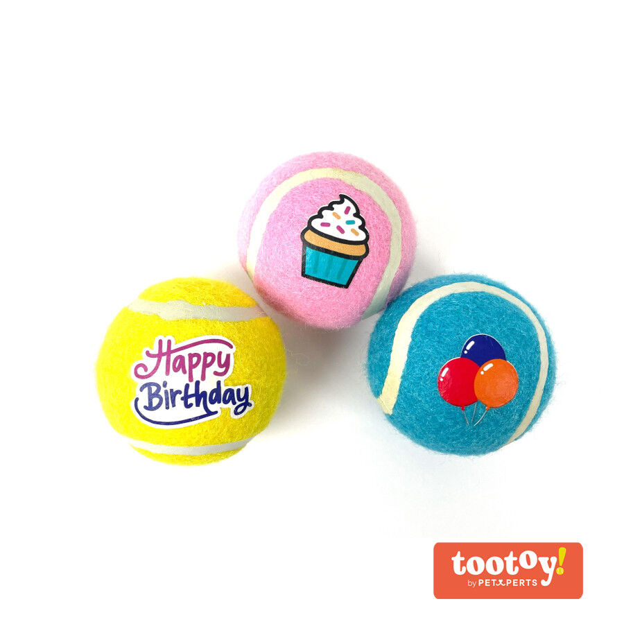 Tootoy! Comfort Happy Birthday Pack de pelotas para perro