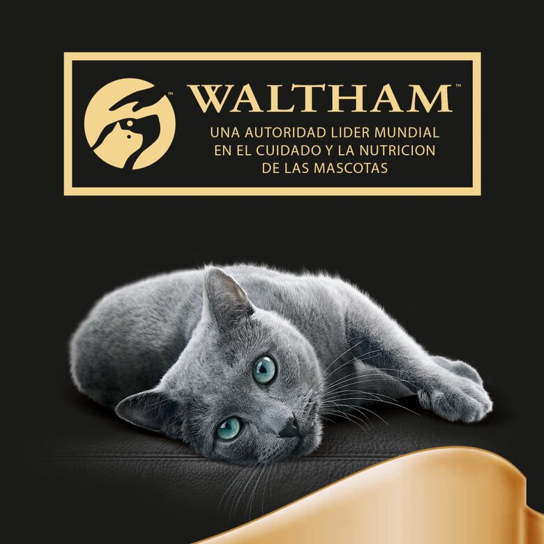 Sheba Selezione Pescados Salsa en Bolsita para Gatos - Multipack, , large image number null