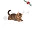 1 bolsita Wonder Christmas Chips Pollo Snacks para gatos, , large indicador imagen numero 1