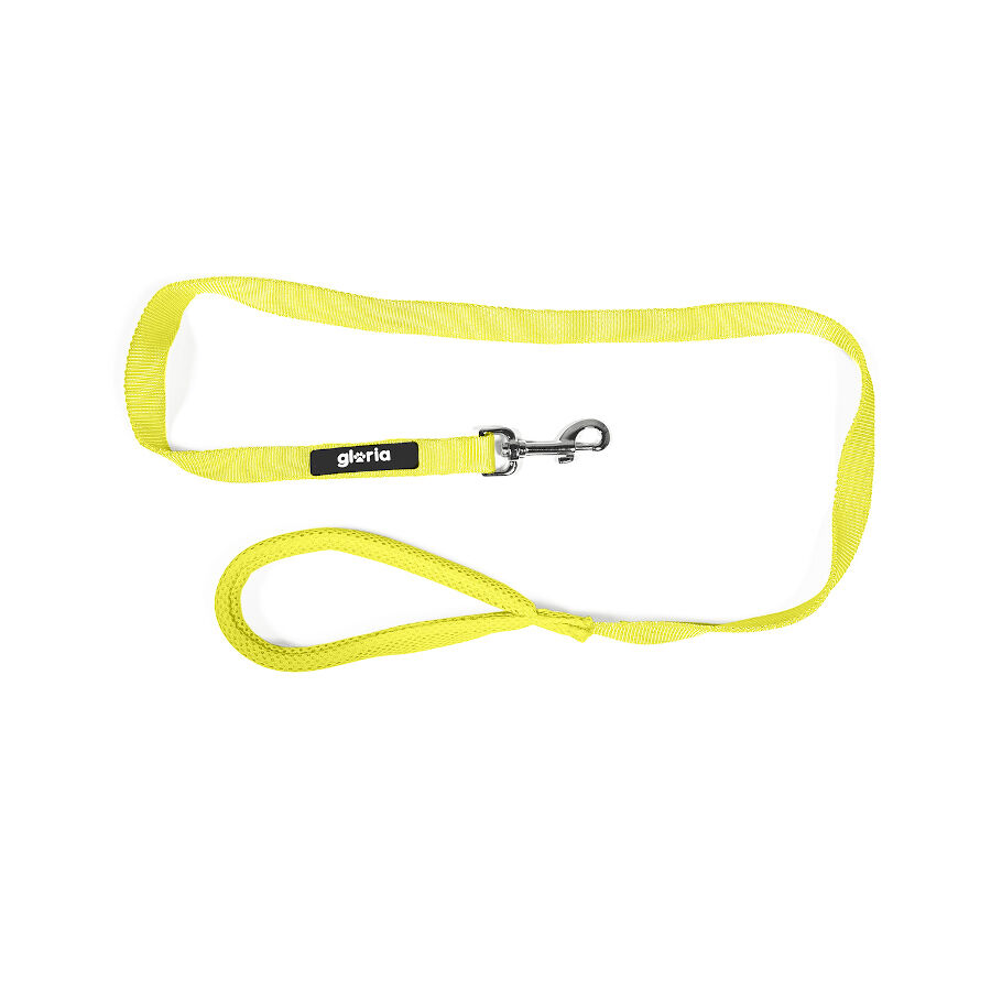 Gloria Air Mesh Trek Star Amarillo Correa para perros, , large Imagen numero 2