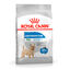 8 kg Royal Canin Mini Light Weight Care pienso para perros, , large indicador imagen numero 1