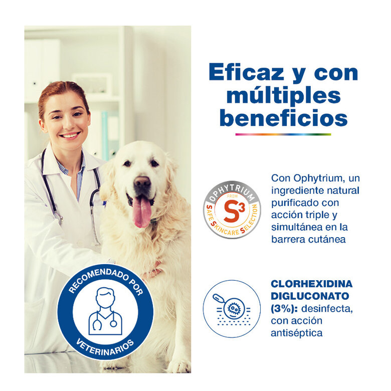 Douxo S3 Pyo Espuma Desinfectante para perros y gatos,  Imagen numero 4 Douxo S3 Pyo Espuma Desinfectante para perros y gatos, , large Imagen numero 4