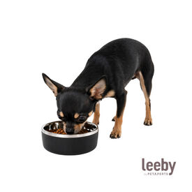 Leeby Comedero Acero Inoxidable para perros y gatos