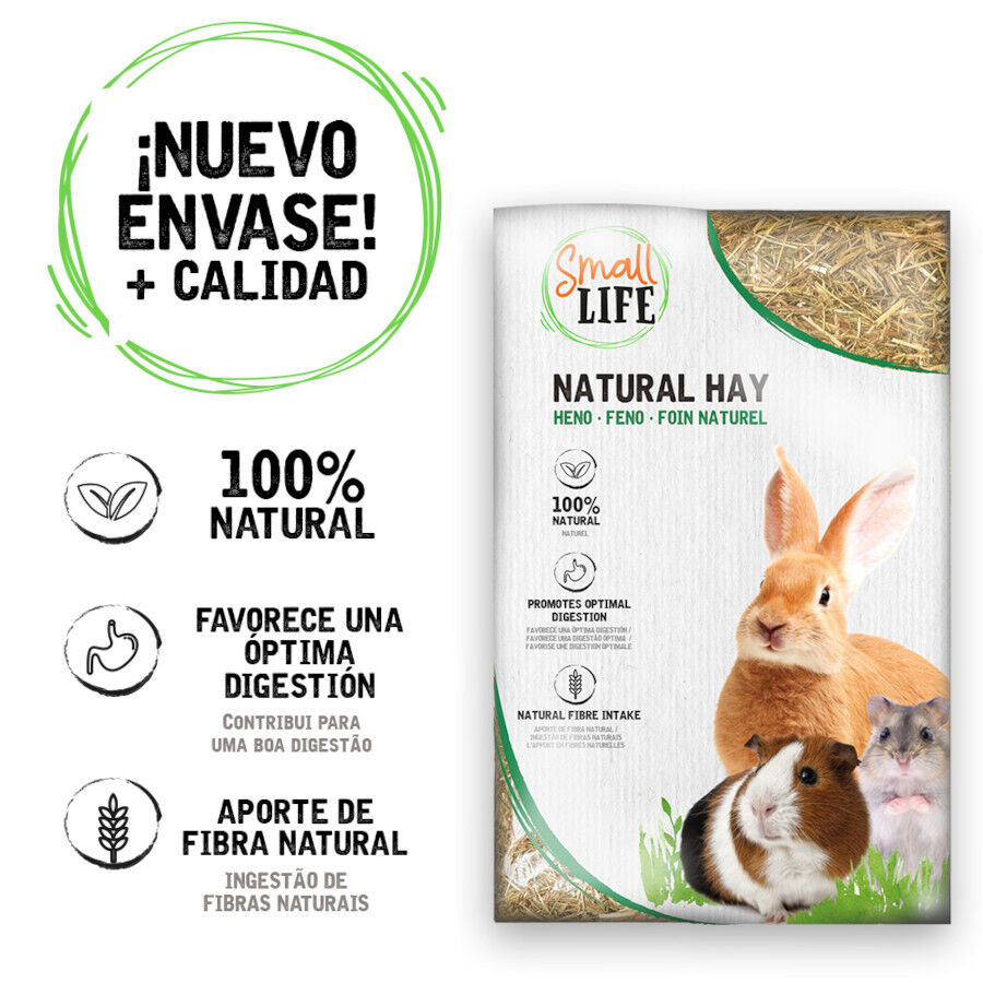 Small Life Heno Natural para roedores, , large Imagen numero 2