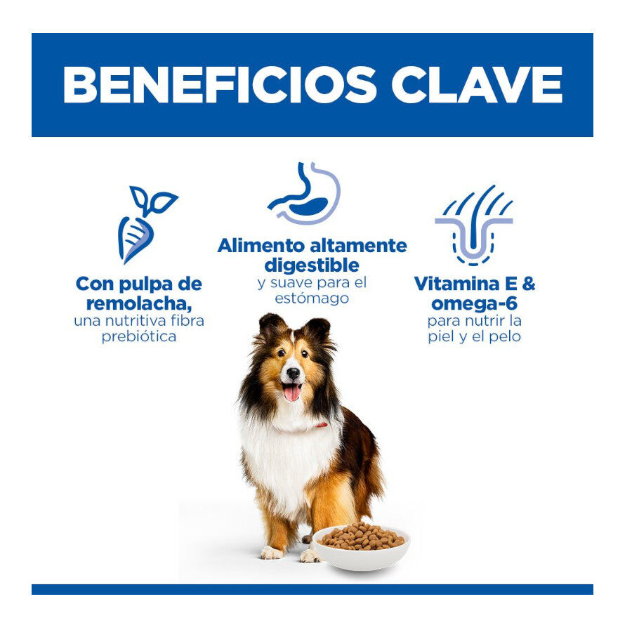 14 kg Hill's Science Plan Sensitive Stomach y skin Adult Pollo pienso para perros, , large Imagen numero 3