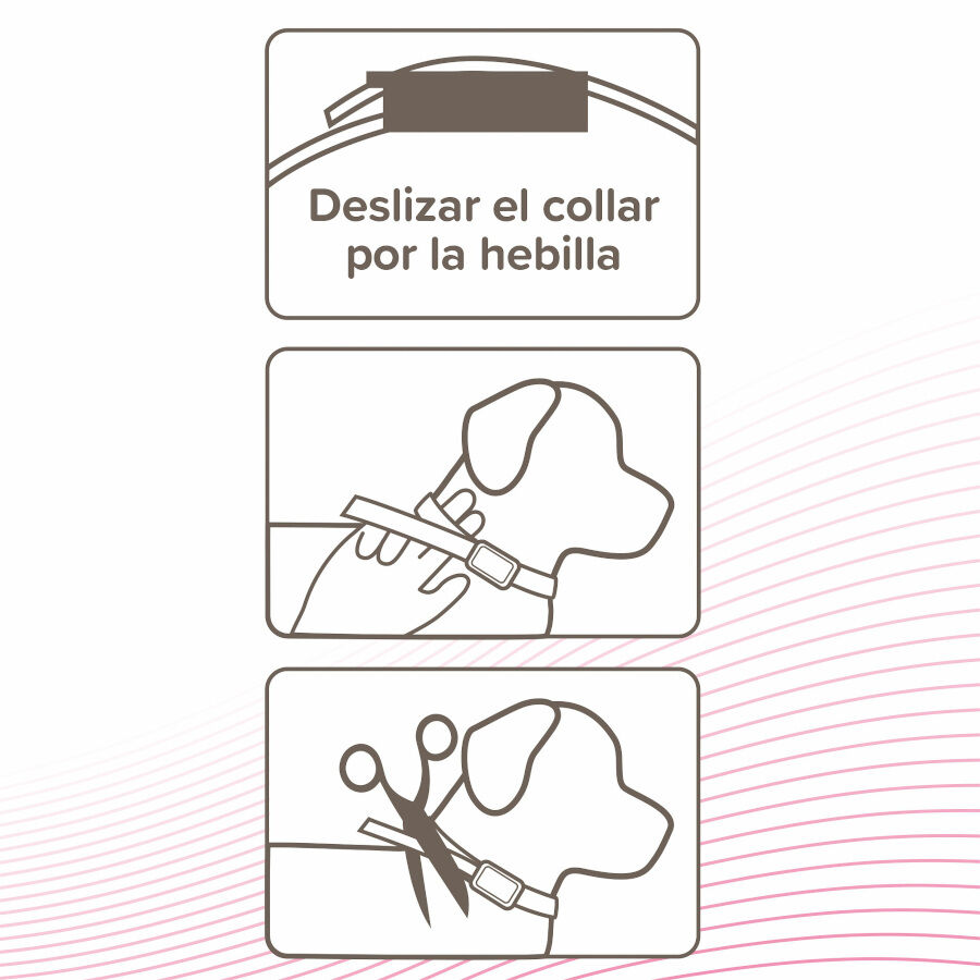 Beaphar CaniComfort Adult Collar Antiestr&eacute;s para perros, , large Imagen numero 4