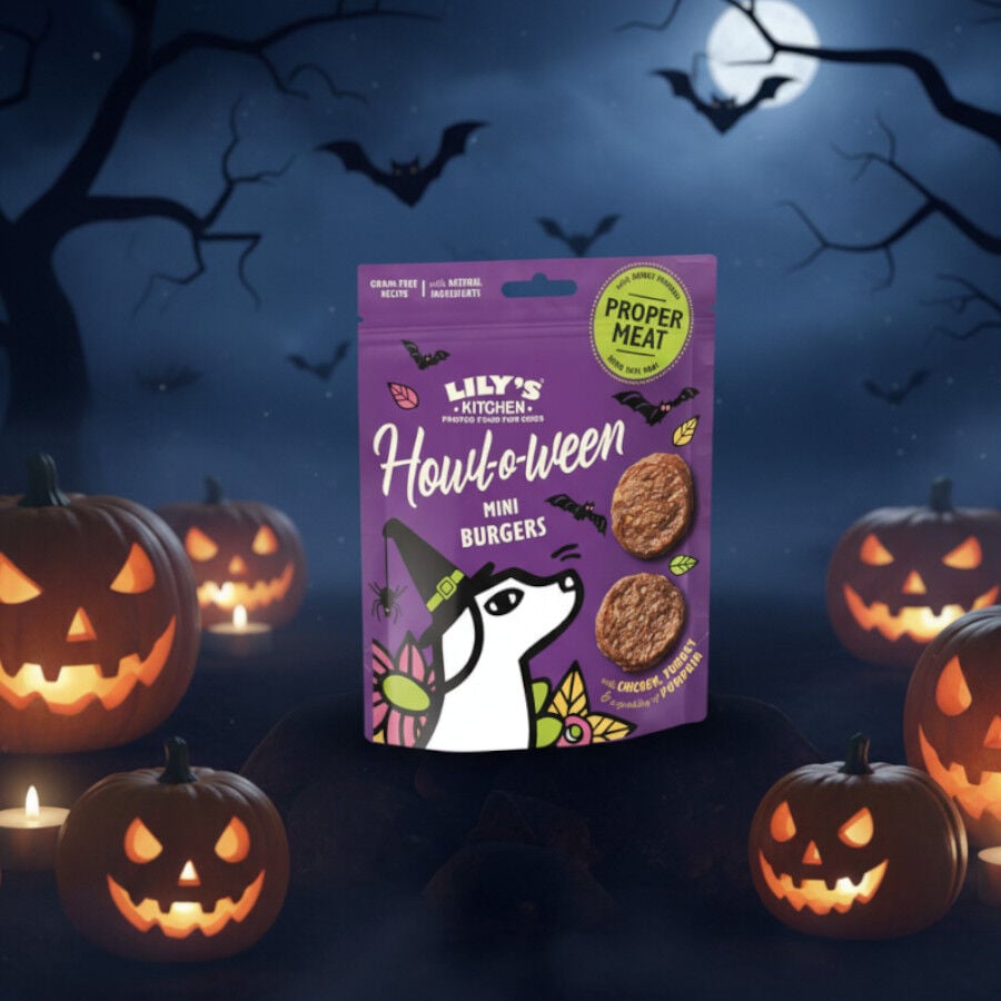 Lily&#039;s Kitchen Mini Hamburguesas Pollo Halloween para perros thumbnail
