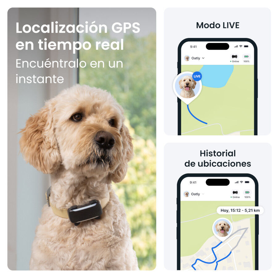 Tractive Dog 6 XL Negro GPS para perros, , large Imagen numero 2