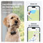 Tractive Dog 6 XL Negro GPS para perros, , large indicador imagen numero 2