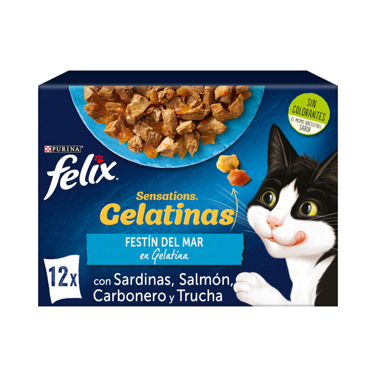 12 sobres x 85 g Felix Sensations Festín del Mar sobres en gelatina para gatos,  Imagen numero 1 12 sobres x 85 g Felix Sensations Festín del Mar sobres en gelatina para gatos, , large Imagen numero 1