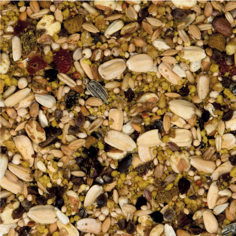 Beaphar XtraVital Comida para loros, , large image number null