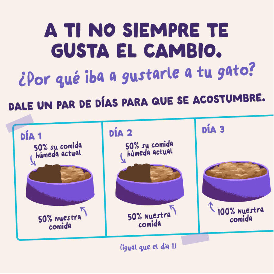 85 g Edgard & Cooper Pato & Pavo sobre en salsa para gatos, , large Imagen numero 9
