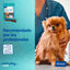 Virbac Snacks Dentales Veggiedent Fresh para perros de raza grande, , large indicador imagen numero 9