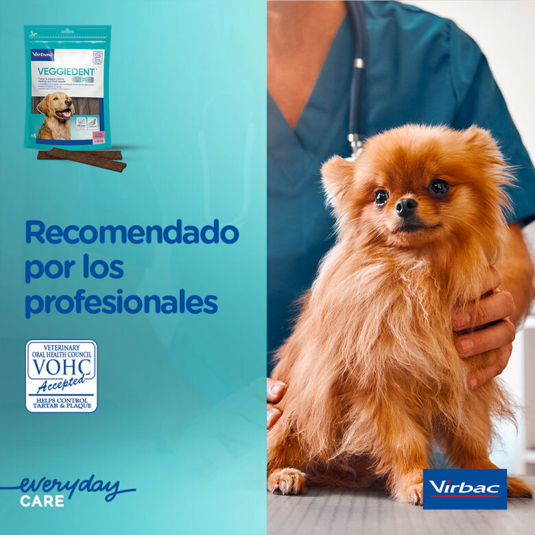 Virbac Snacks Dentales Veggiedent Fresh para perros de raza mediana thumbnail