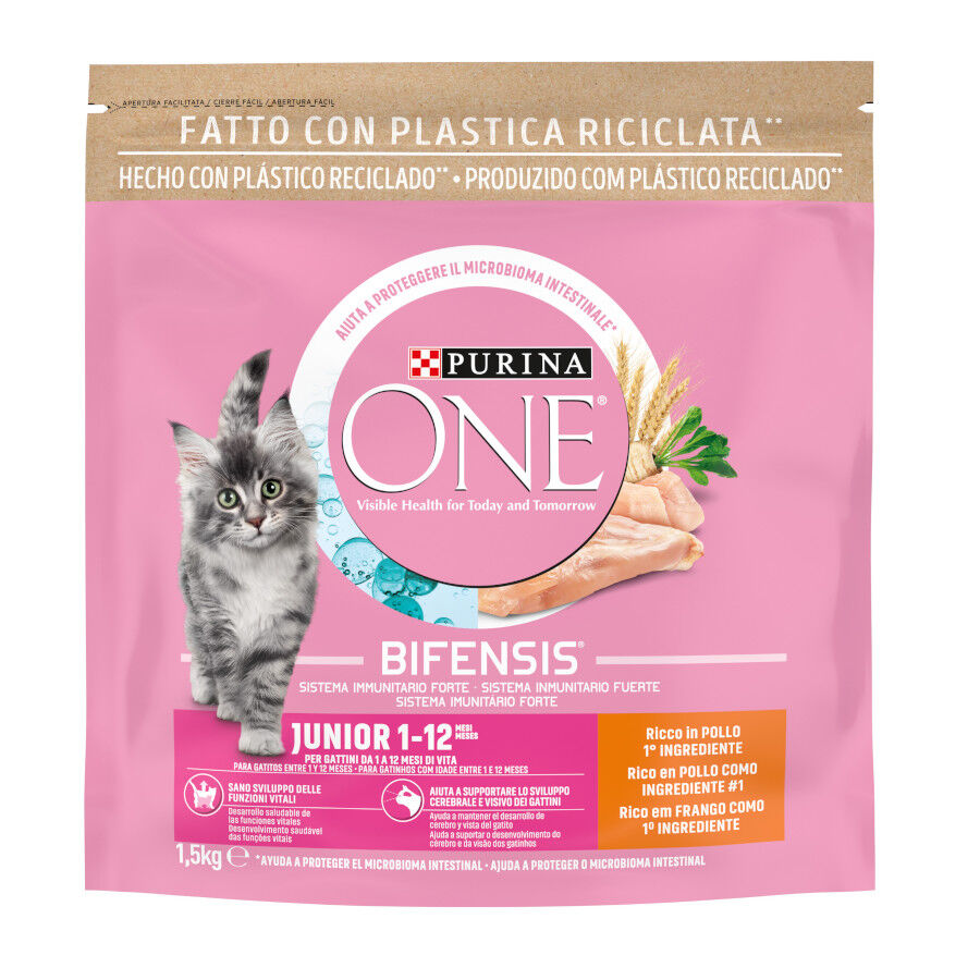 Purina One Junior Bifensis Pollo pienso para gatos thumbnail
