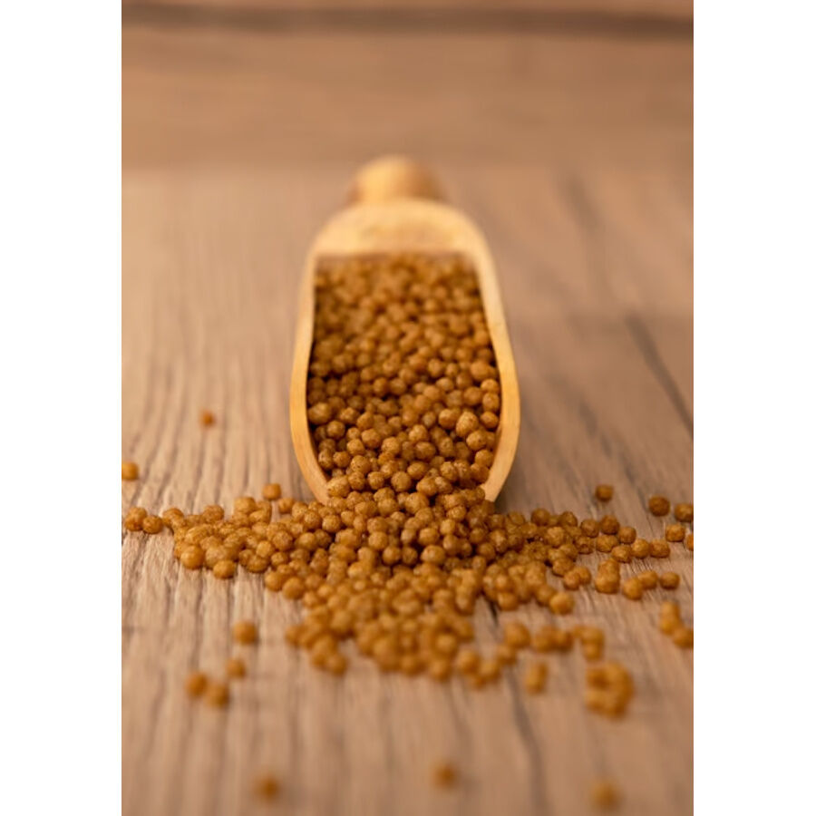 Psittacus Minor pienso para pájaros pequeños thumbnail