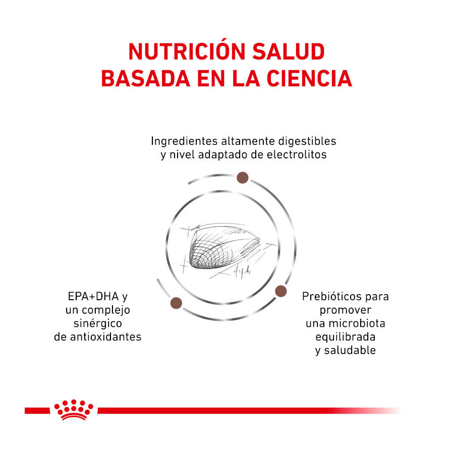 Royal Canin Veterinary Gastrointestinal pienso para gatos thumbnail