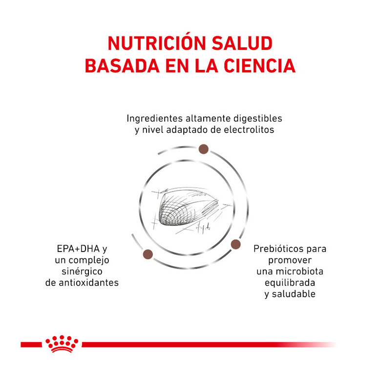 Royal Canin Veterinary Gastrointestinal pienso para gatos, , large image number null