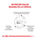 Royal Canin Veterinary Gastrointestinal pienso para gatos, , large image number null