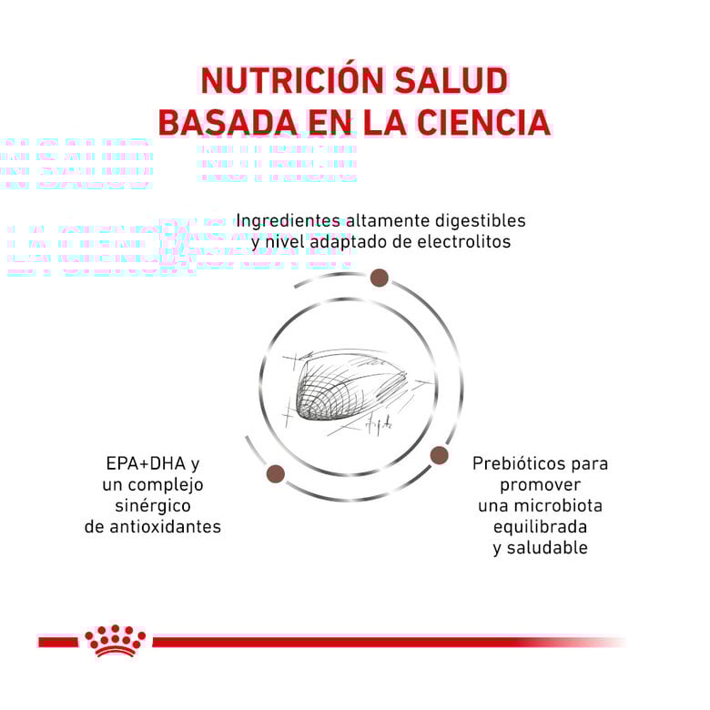 4 kg Royal Canin Veterinary Gastrointestinal pienso para gatos,  Imagen numero 2 4 kg Royal Canin Veterinary Gastrointestinal pienso para gatos, , large Imagen numero 2