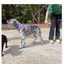 Freedog Cool Pro Tech Fucsia Arnés Refrescante Deportivo para perros, , large indicador imagen numero 5