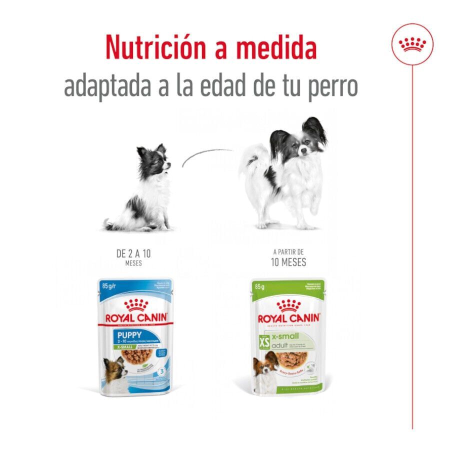 Royal Canin X-Small Adult sobres en salsa para perros thumbnail