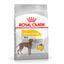 12 kg Royal Canin Dermacomfort Maxi pienso para perros, , large indicador imagen numero 1