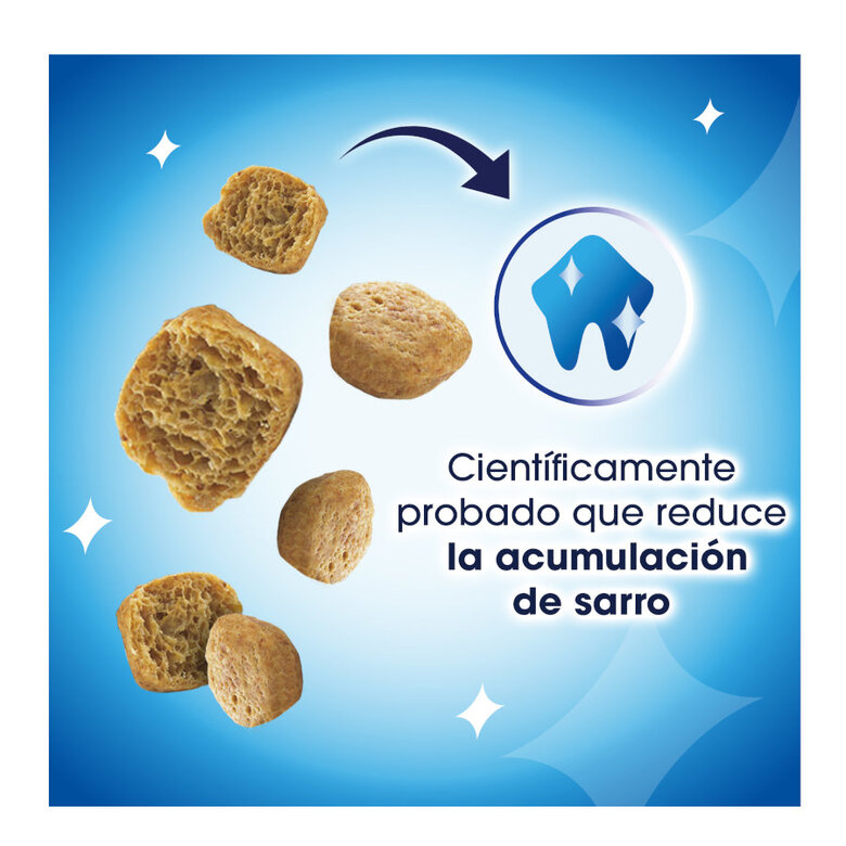 40 g Dentalife Snack Dentales Pollo para gatos,  Imagen numero 3 40 g Dentalife Snack Dentales Pollo para gatos, , large Imagen numero 3