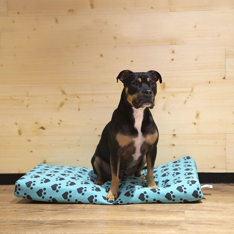 Dogzzz Corazones y Huellas Funda de Colchón para perros,  Imagen numero 3 Dogzzz Corazones y Huellas Funda de Colchón para perros, , large Imagen numero 3