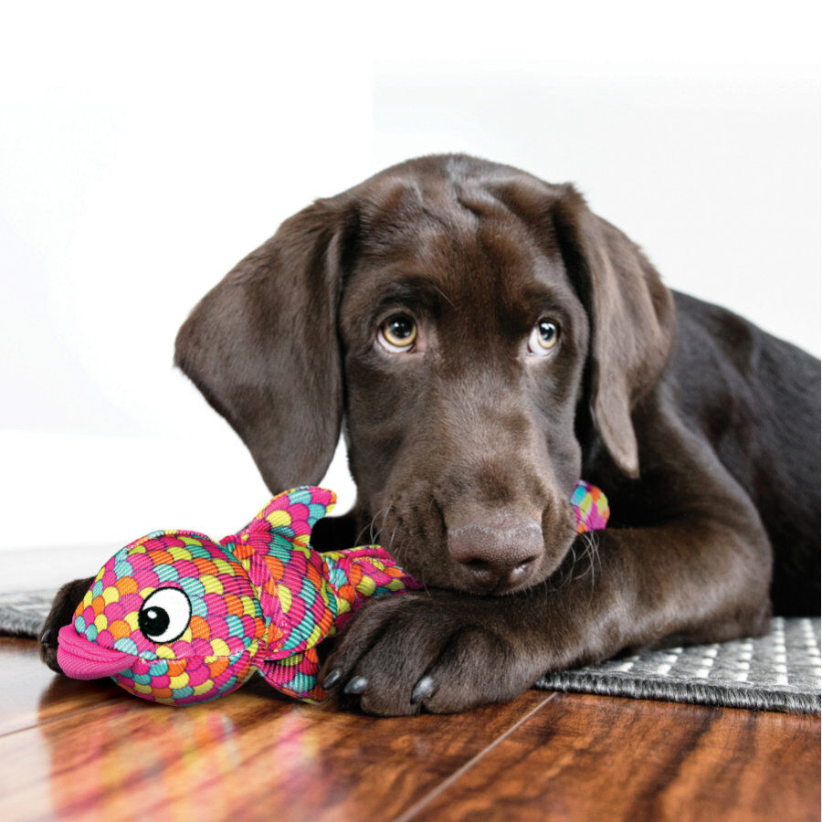 Kong Wubba Finz Pez Rosa juguete para perros thumbnail