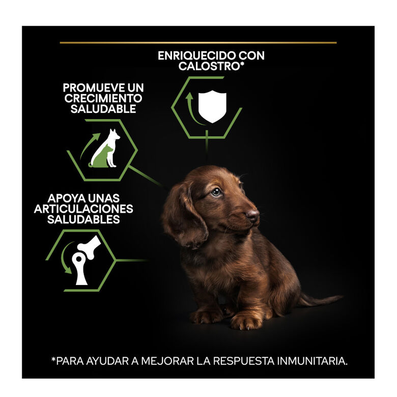 Pro Plan Puppy Small y Mini Pollo pienso para cachorros thumbnail
