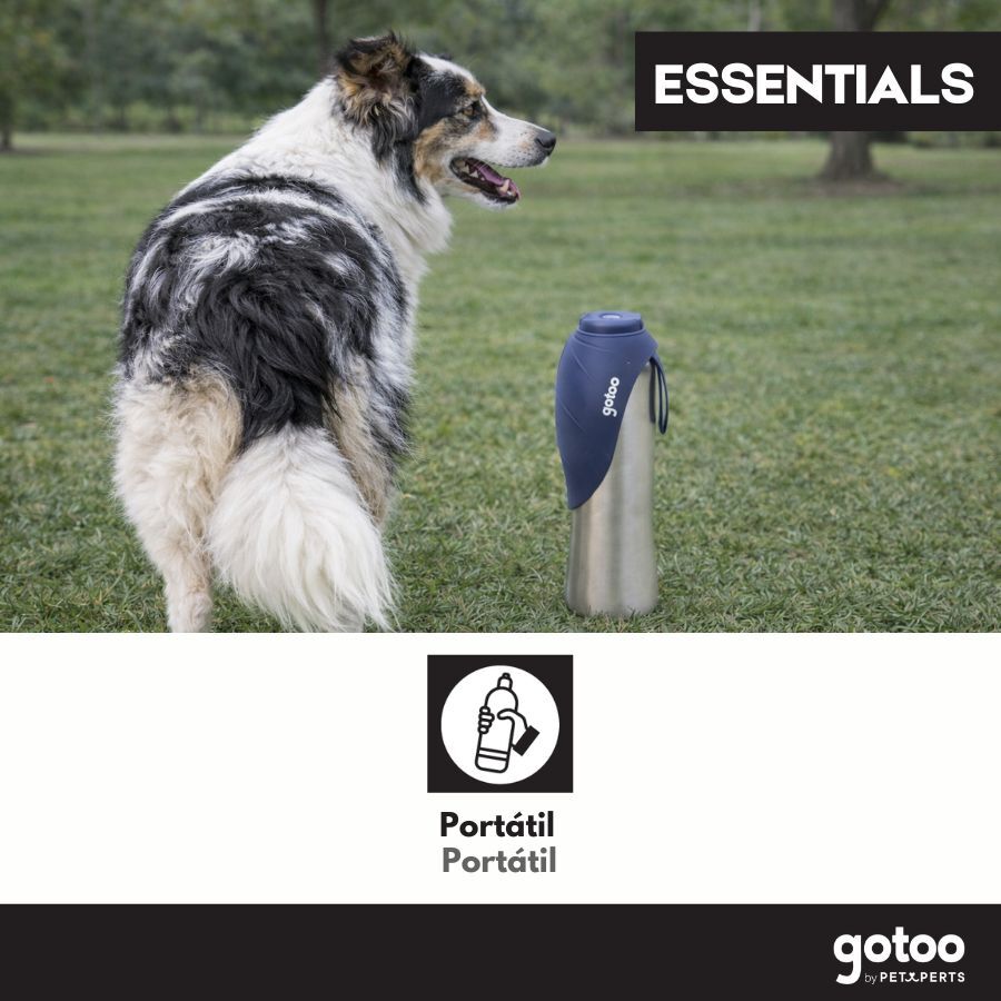 Gotoo Botella Bebedero Port&aacute;til de Acero Inoxidable Azul para perros, , large Imagen numero 4