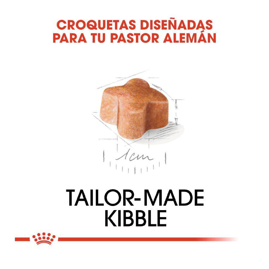 Royal Canin Puppy Pastor Alemán pienso para perros thumbnail