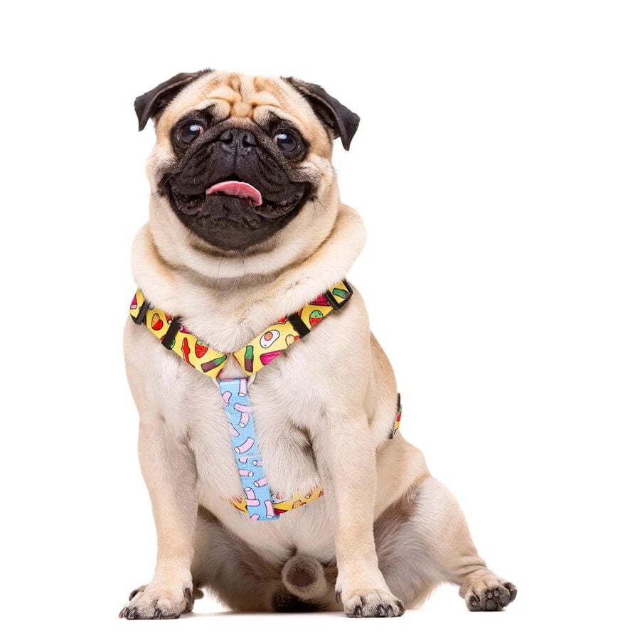 Dukier Sweets Arn&eacute;s Cl&aacute;sico para perros, , large Imagen numero 1