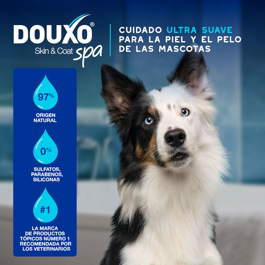 Ceva Douxo Spa Mousse Limpiador Exprés para perros thumbnail