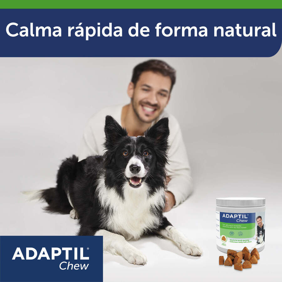 Adaptil Chew Relajante en comprimidos para el estrés ocasional en el perro thumbnail