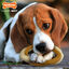 Nylabone Mordedor Redondo Duradero con Sabor a Buey para perros, , large indicador imagen numero 2