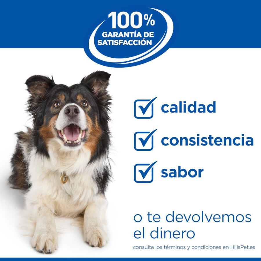 18 kg Hill's Science Plan Puppy Medium pollo pienso para perro, , large Imagen numero 10