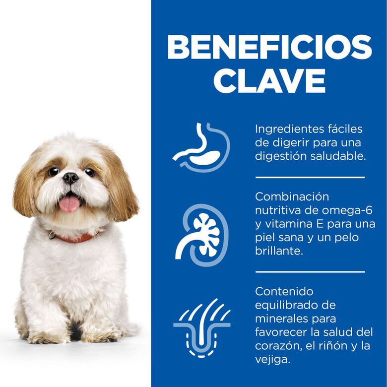Hill&#039;s Science Plan Mature Adult Small y Mini pollo pienso para perros thumbnail