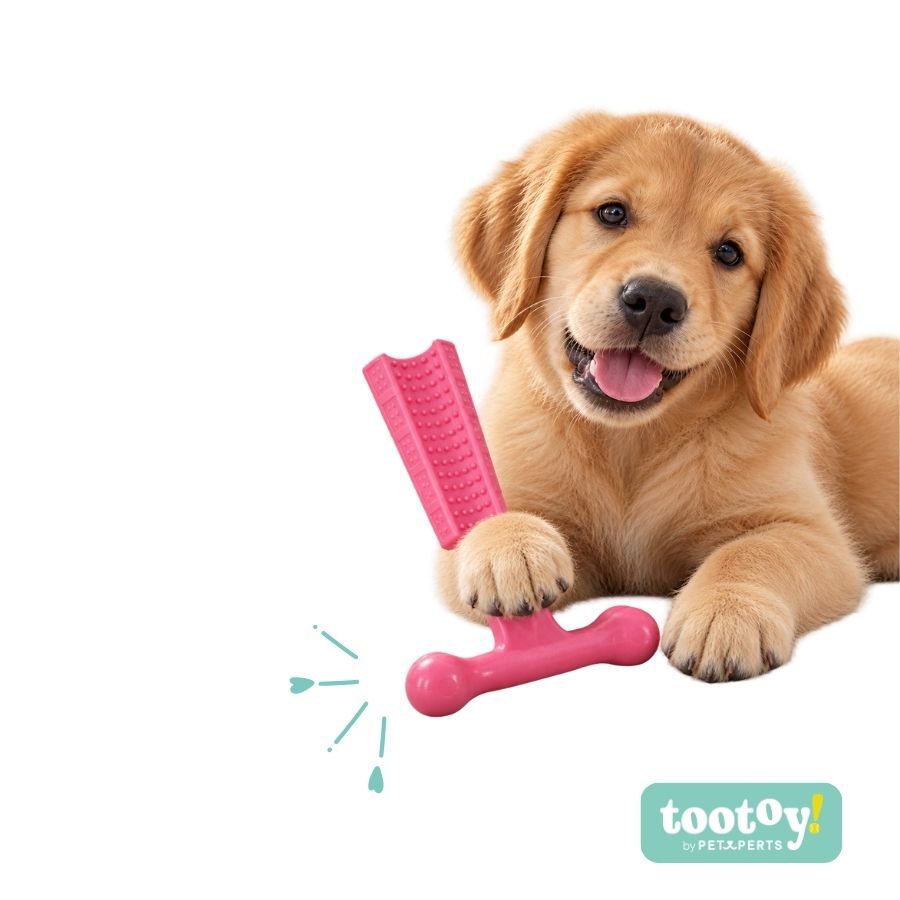 Tootoy! Puppy Hueso Martillo Rosa Juguete para perros, , large Imagen numero 7
