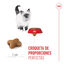 10 kg Royal Canin Kitten pienso para gatos, , large indicador imagen numero 12
