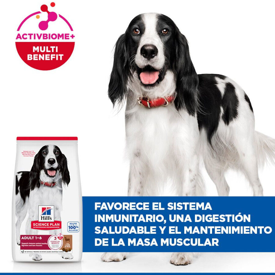 Hill&#039;s Science Plan Adult Medium pienso cordero y arroz para perros de razas medianas thumbnail