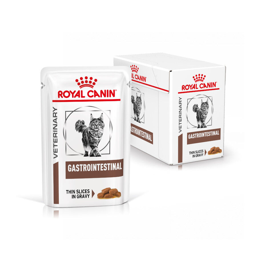 Royal Canin Veterinary Gastrointestinal sobre en salsa para gatos thumbnail