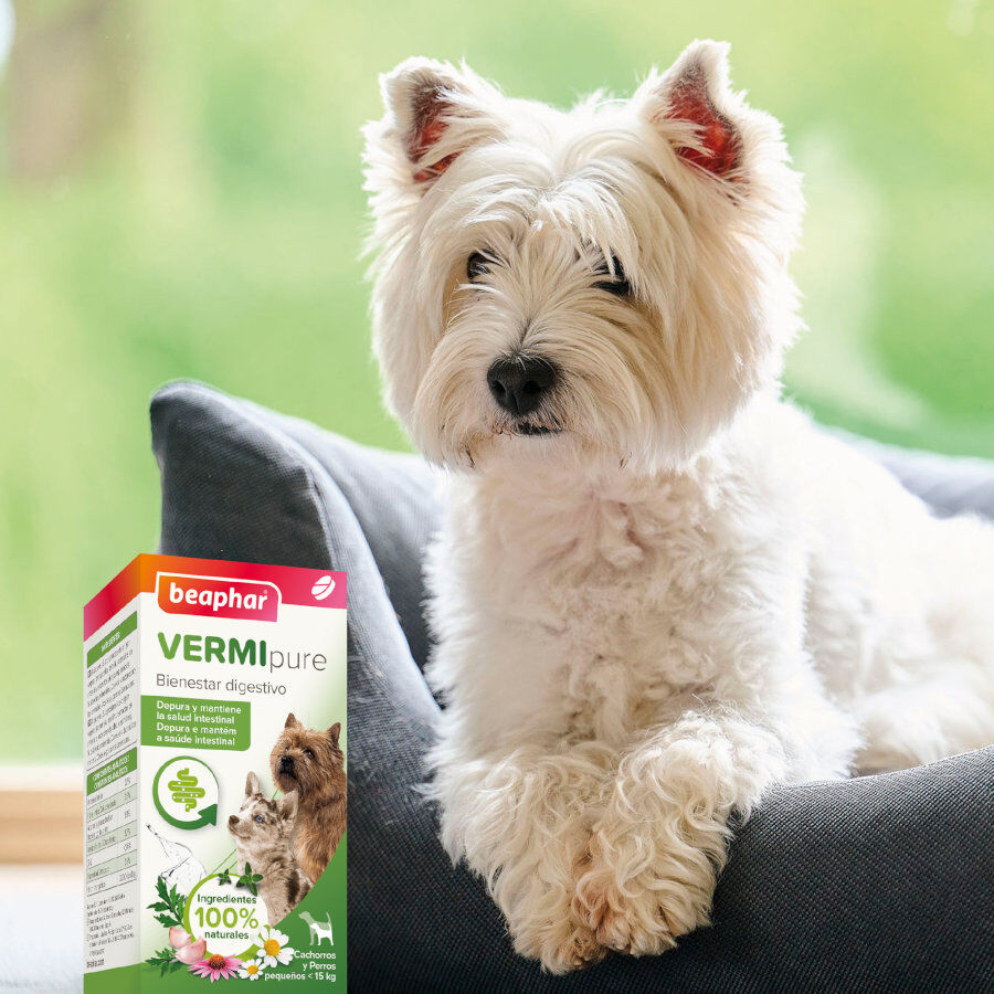 Beaphar VERMIpure Repelente Interno Natural en comprimidos para perros pequeños y cachorros thumbnail